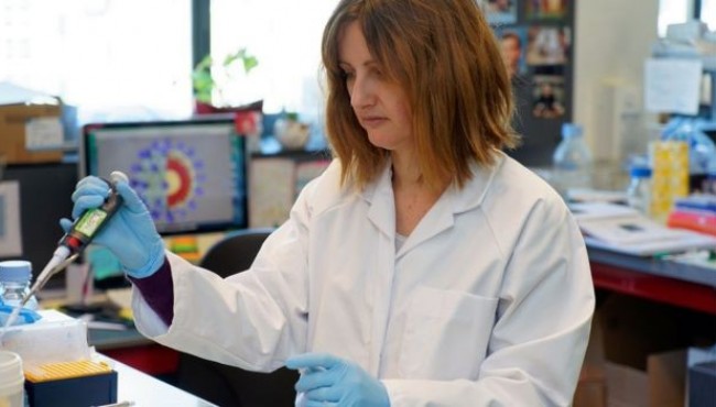 ویروس کرونا؛ واکسن کی ساخته می&zwnj;شود؟